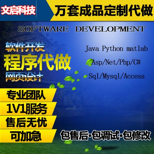 python代编程ios软件开发vue前端项目定制java代写计算机程序设计