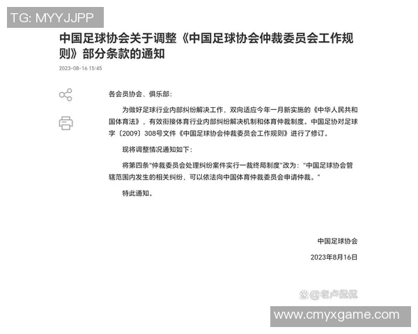 足球仲裁机制的构建与发展对中国足球行业的影响与展望