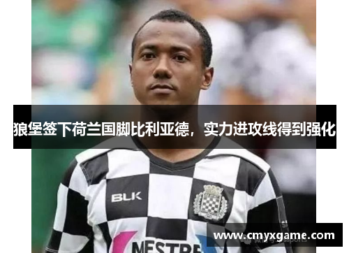 狼堡签下荷兰国脚比利亚德，实力进攻线得到强化