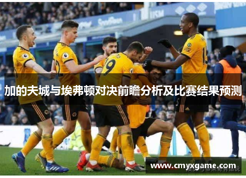 加的夫城与埃弗顿对决前瞻分析及比赛结果预测