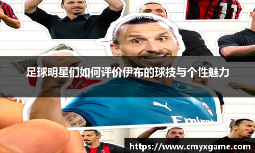 足球明星们如何评价伊布的球技与个性魅力